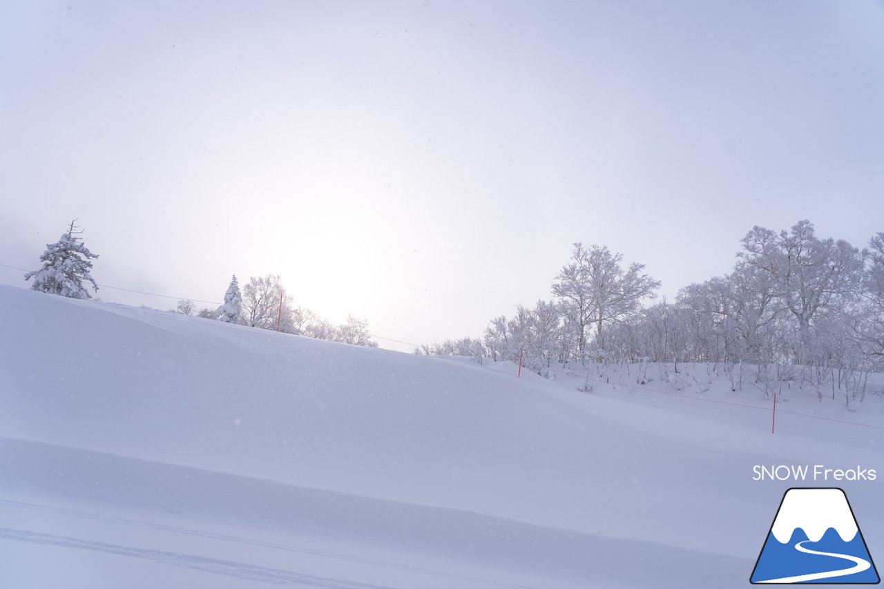 キロロリゾート｜降り出したら早いキロロ。積雪は、200cmに到達！X'mas＆年末年始に向けてコンディション急上昇(*^^)v